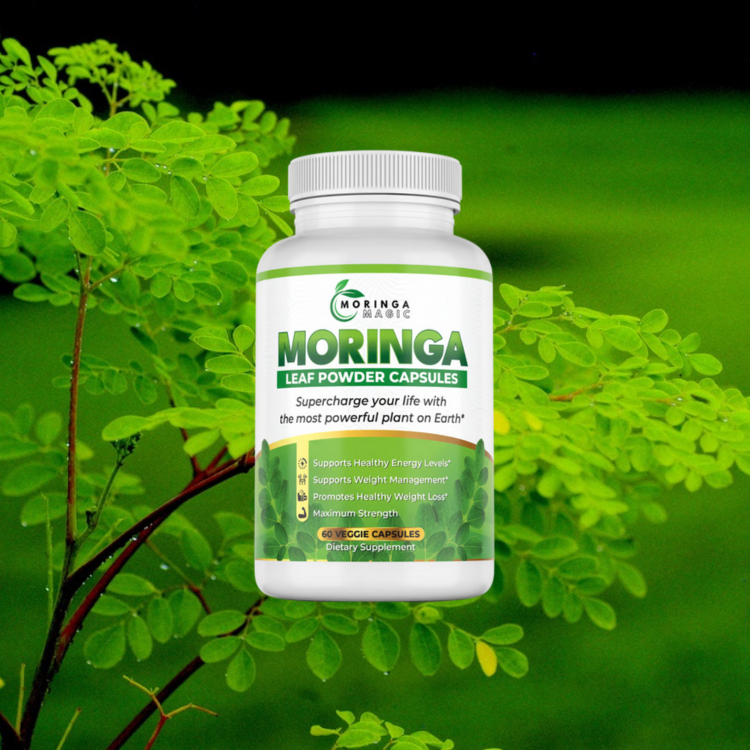 moringa powder for health